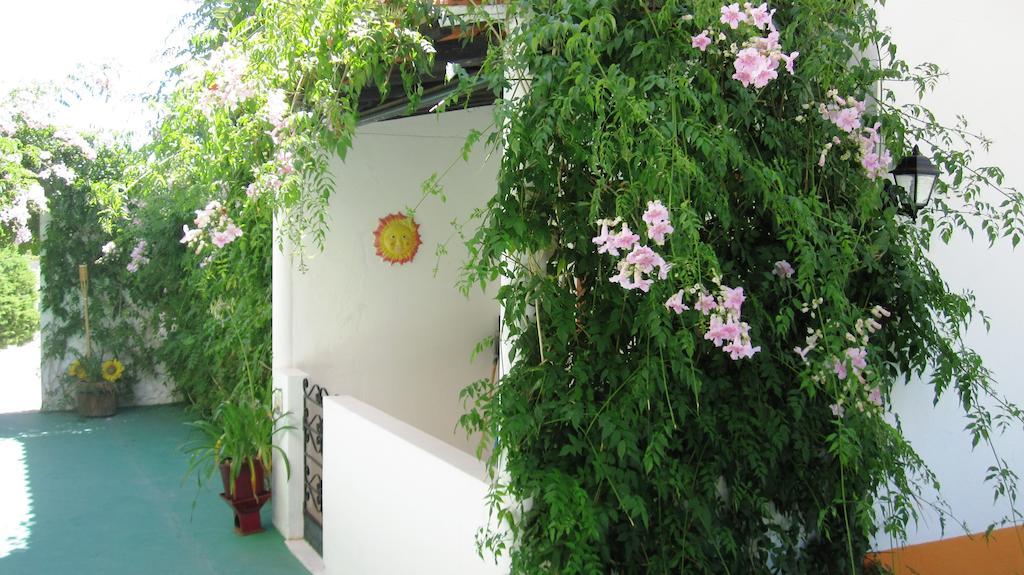 Palm Villa Estudios Lagos Extérieur photo
